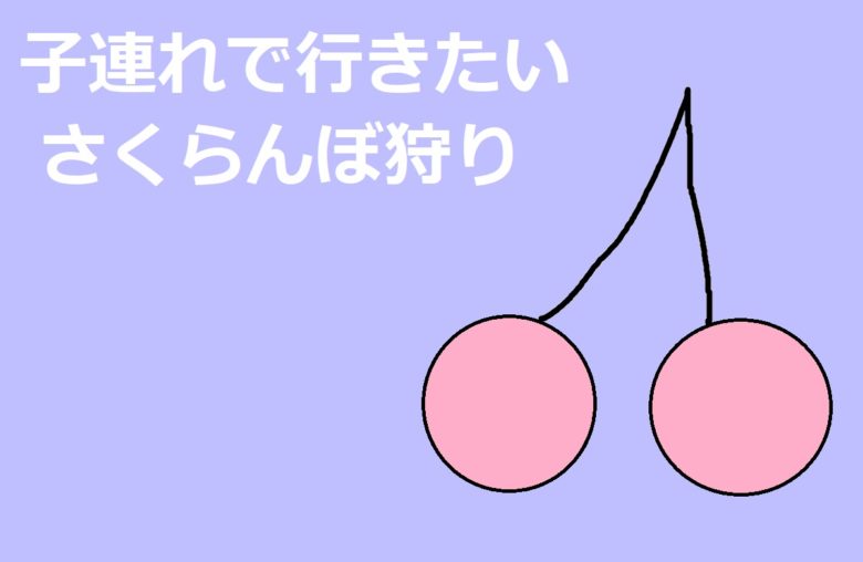 さくらんぼ狩り