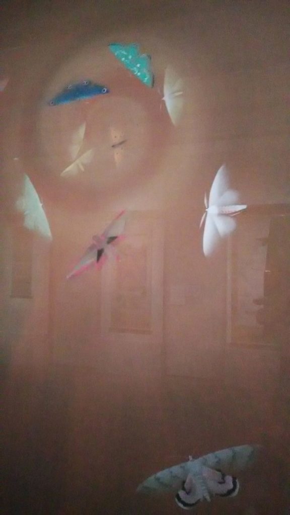 速水御舟「粧蛾舞戯」@山種美術館