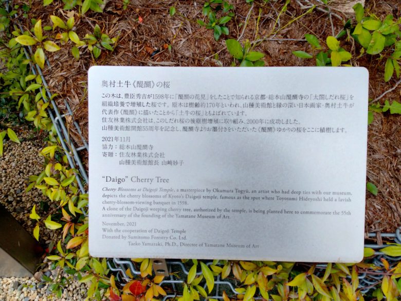 醍醐の桜　説明