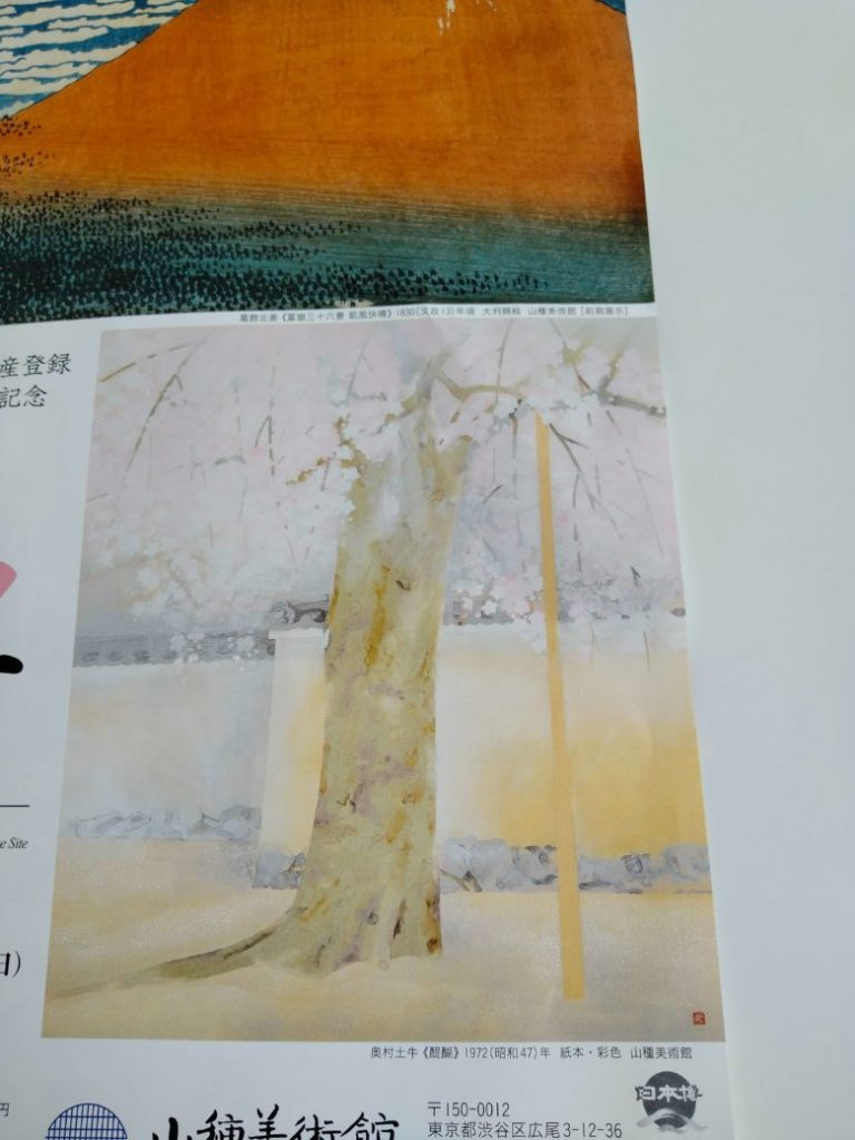 奥村土牛「醍醐」＠山種美術館