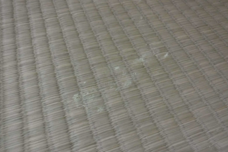 床にこぼした漆喰