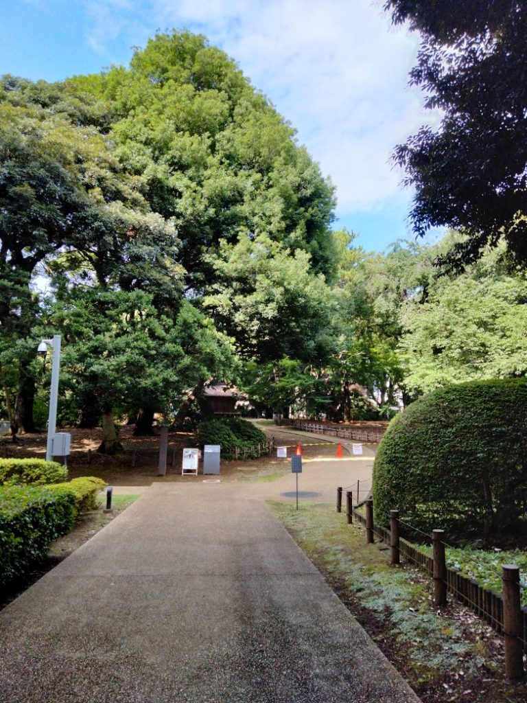 TOHAKU茶館への道