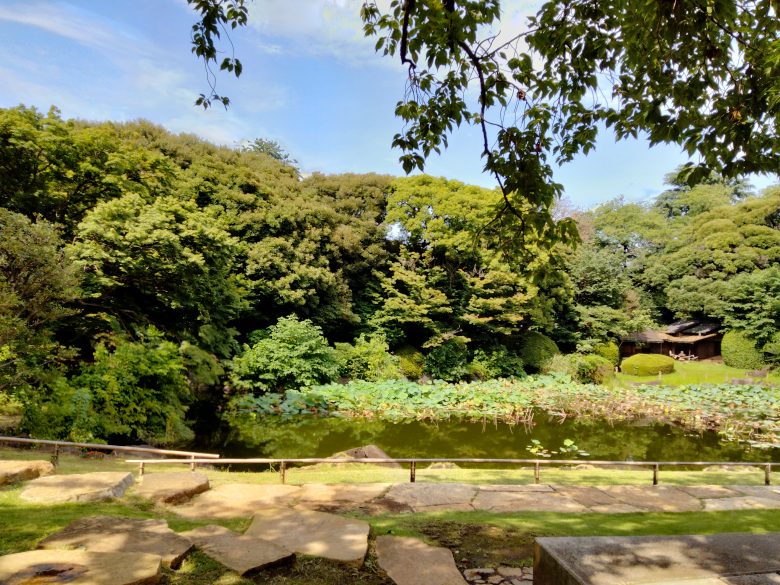 東京国立博物館の池ごしに茶室を望む