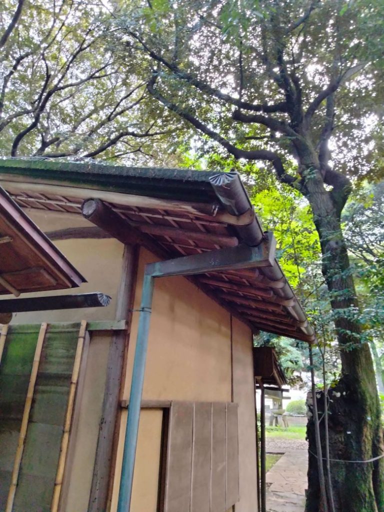 東京国立博物館　茶室の雨どい